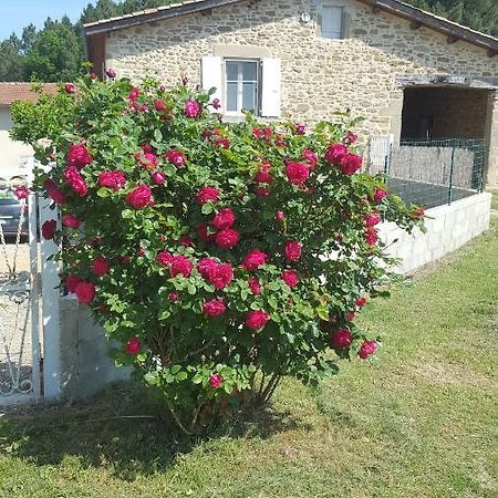 Studio Au Coeur De La Nature Bren ภายนอก รูปภาพ